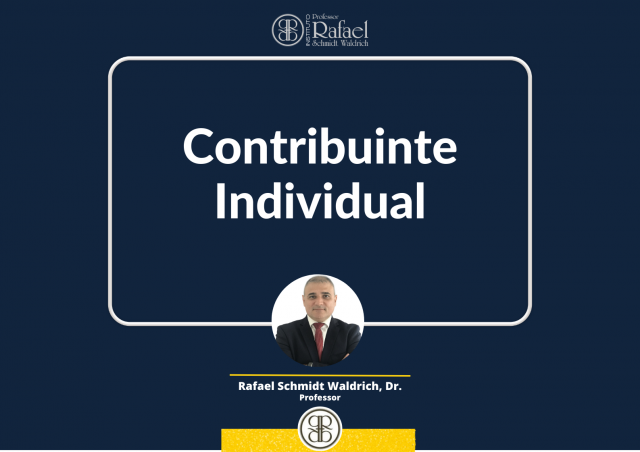 Contribuinte Individual